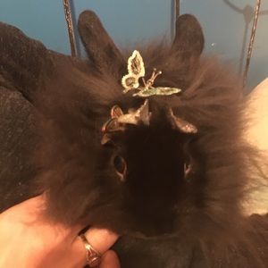 Meet your Posher, Maggie